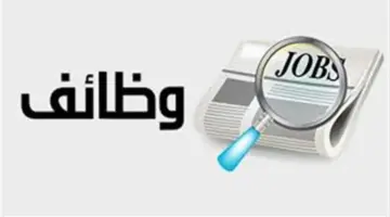 براتب يصل إلى 18 ألف جنيه.. فرص عمل شاغرة في عدة محافظات للمؤهلات العليا والمتوسطة